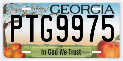 GA license plate PTG9975