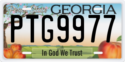 GA license plate PTG9977
