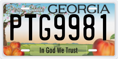 GA license plate PTG9981