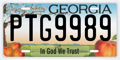GA license plate PTG9989