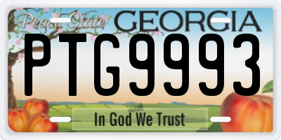 GA license plate PTG9993