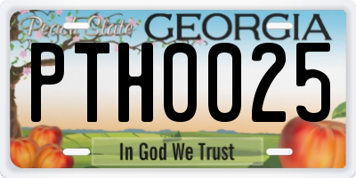 GA license plate PTH0025