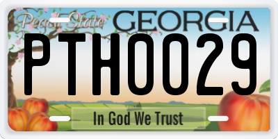 GA license plate PTH0029