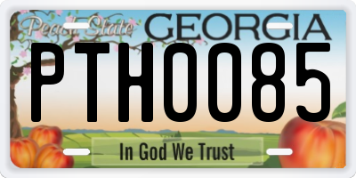 GA license plate PTH0085