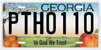 GA license plate PTH0110