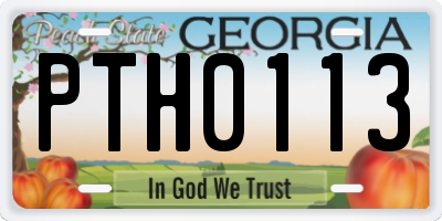 GA license plate PTH0113