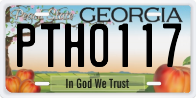 GA license plate PTH0117