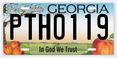 GA license plate PTH0119