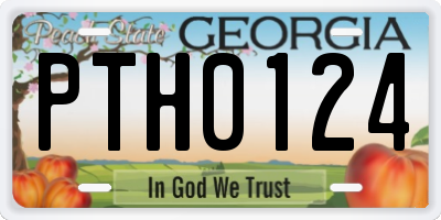 GA license plate PTH0124