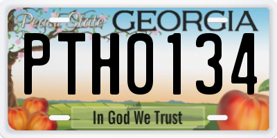 GA license plate PTH0134