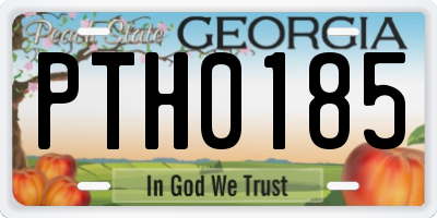 GA license plate PTH0185