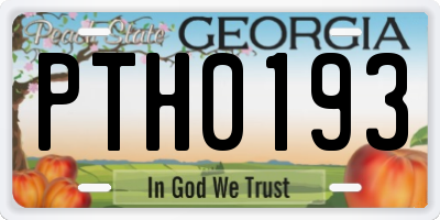 GA license plate PTH0193