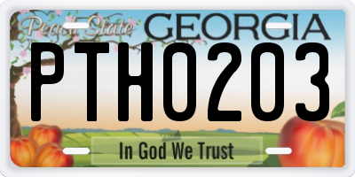 GA license plate PTH0203
