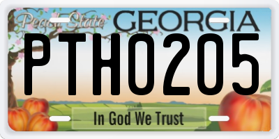 GA license plate PTH0205