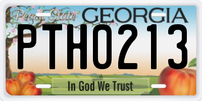GA license plate PTH0213
