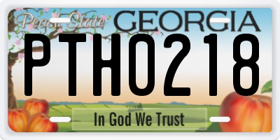 GA license plate PTH0218