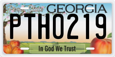 GA license plate PTH0219