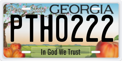 GA license plate PTH0222