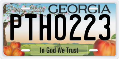 GA license plate PTH0223