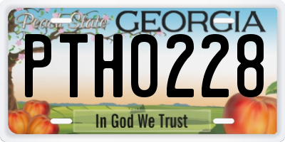 GA license plate PTH0228
