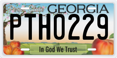 GA license plate PTH0229