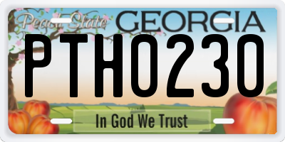 GA license plate PTH0230