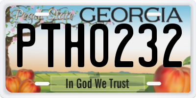 GA license plate PTH0232