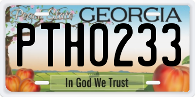 GA license plate PTH0233