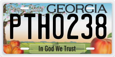 GA license plate PTH0238