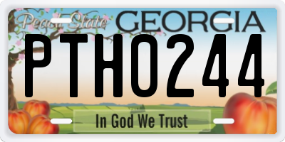 GA license plate PTH0244