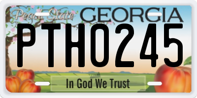 GA license plate PTH0245