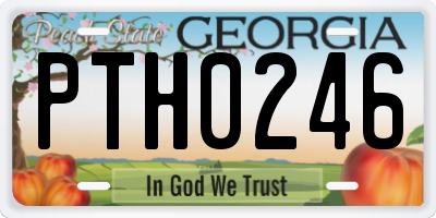 GA license plate PTH0246