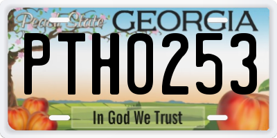 GA license plate PTH0253