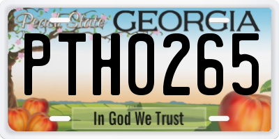 GA license plate PTH0265