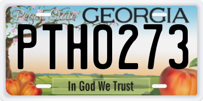 GA license plate PTH0273