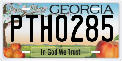 GA license plate PTH0285