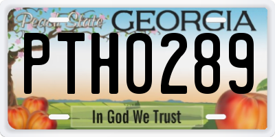 GA license plate PTH0289