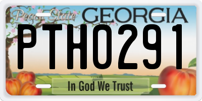 GA license plate PTH0291