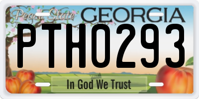 GA license plate PTH0293