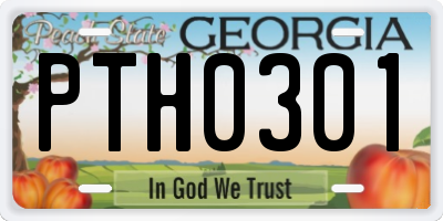 GA license plate PTH0301