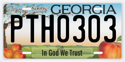 GA license plate PTH0303
