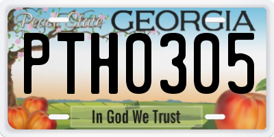 GA license plate PTH0305