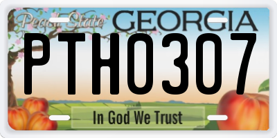 GA license plate PTH0307