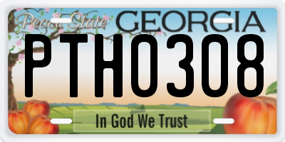 GA license plate PTH0308