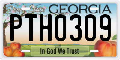 GA license plate PTH0309