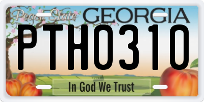 GA license plate PTH0310