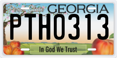 GA license plate PTH0313