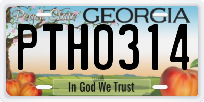 GA license plate PTH0314