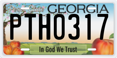 GA license plate PTH0317