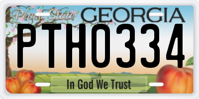 GA license plate PTH0334